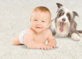 /album/photo-gallery-homepage/baby-carpetvv-jpg/